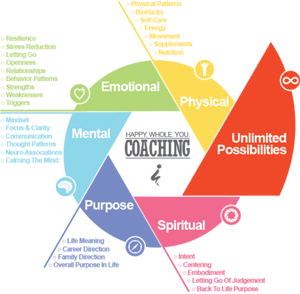 Quantum Coaching – Exclusive 3-Month 1:1 Program with Dr. Anna Marie